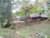 Small village huts